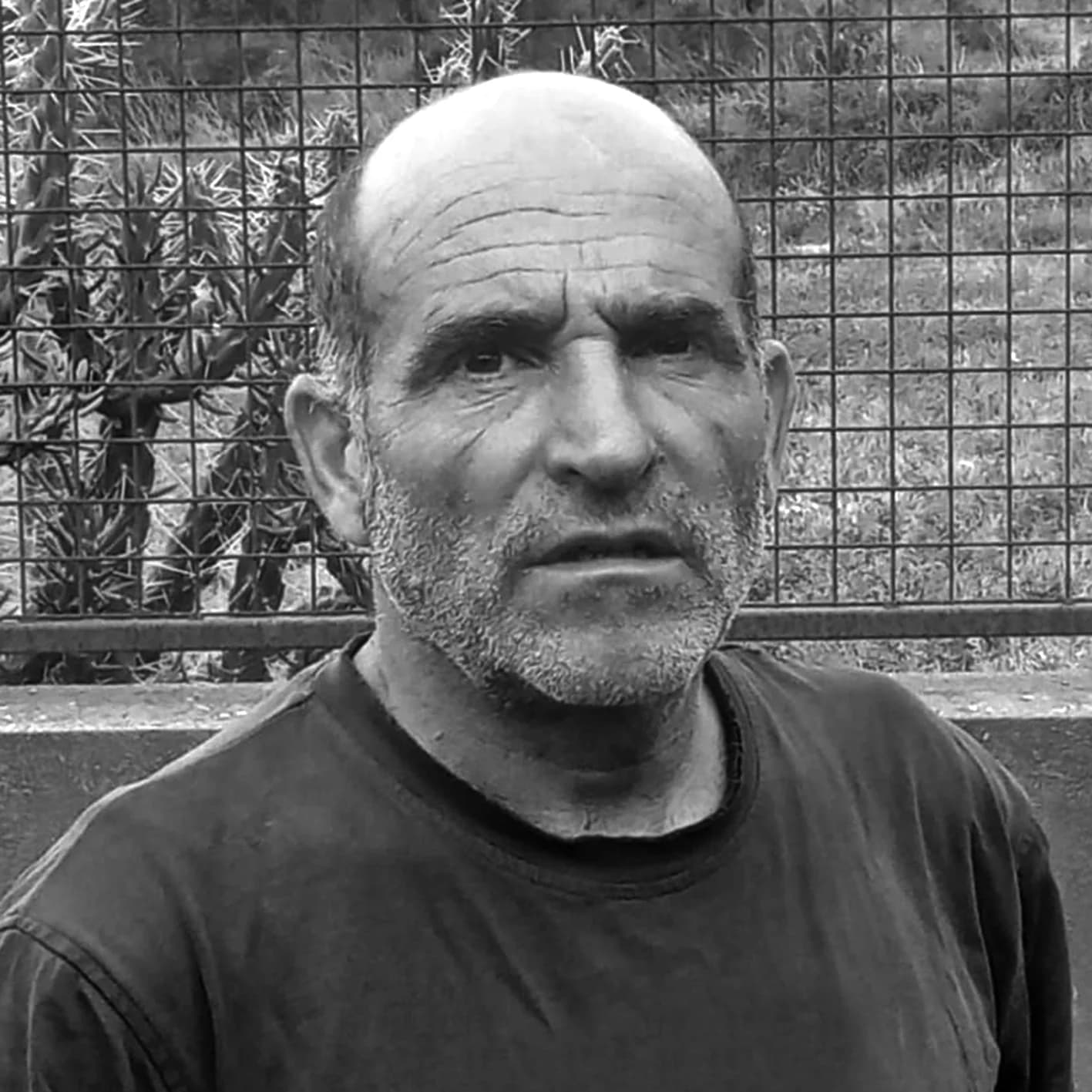 David Coll